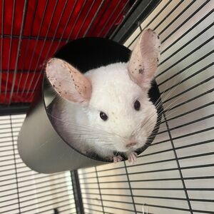 Meet your Posher, Madi